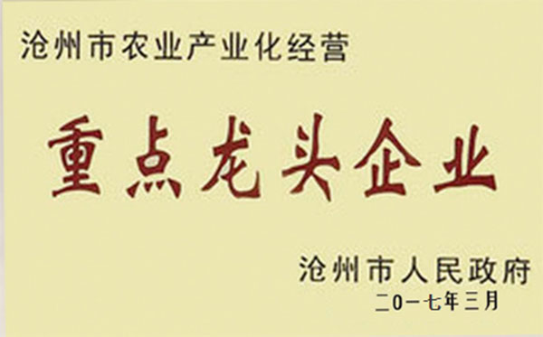 重點(diǎn)龍頭企業(yè)