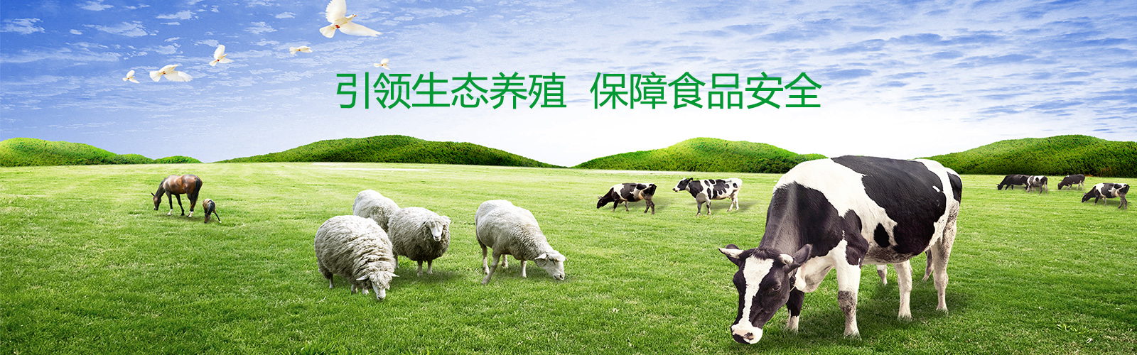 格展網(wǎng)絡(luò)