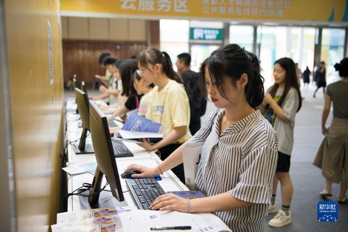 成都“百日萬企”促青年就業(yè) 軟件開發(fā)行業(yè)迎來新機遇