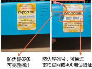 自動化助力信息化升級 雷柏產(chǎn)品查詢系統(tǒng)革新信息咨詢體驗