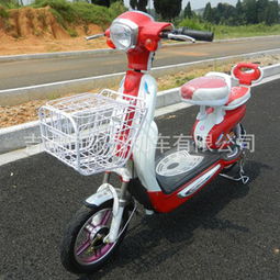 綠冠電動車 產品、門店與加盟前景分析